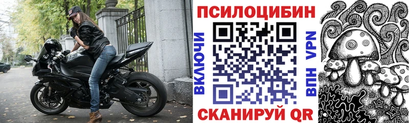 кракен сайт  Каневская  Псилоцибиновые грибы GOLDEN TEACHER  даркнет сайт 